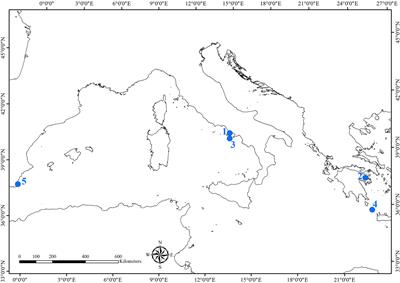 The Bioerosion of Submerged Archeological Artifacts in the Mediterranean Sea: An Overview